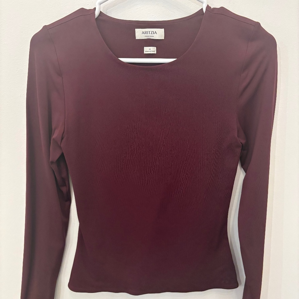 Aritzia longsleeve